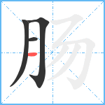 肠笔顺分解图片4