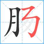 肠笔顺分解图片5