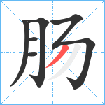 肠笔顺分解图片6