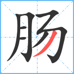 肠笔顺分解图片7