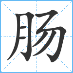 肠笔顺分解图片8