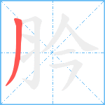 肣笔顺分解图片1