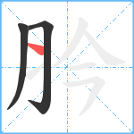 肣笔顺分解图片3