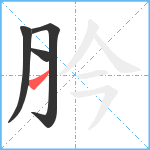 肣笔顺分解图片4