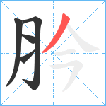 肣笔顺分解图片5