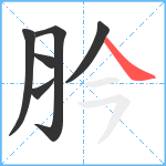 肣笔顺分解图片6