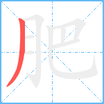 肥笔顺分解图片1