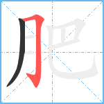 肥笔顺分解图片2