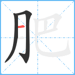 肥笔顺分解图片3