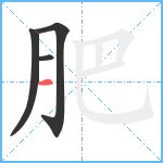 肥笔顺分解图片4