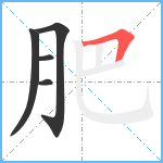 肥笔顺分解图片5