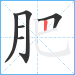 肥笔顺分解图片6