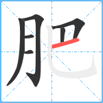 肥笔顺分解图片7