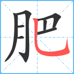 肥笔顺分解图片8