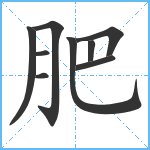 肥笔顺分解图片9