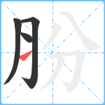 肦笔顺分解图片4