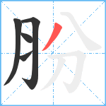 肦笔顺分解图片5