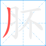 肧笔顺分解图片1