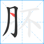 肧笔顺分解图片3