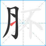 肧笔顺分解图片4