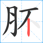 肧笔顺分解图片7