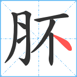 肧笔顺分解图片8