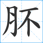 肧笔顺分解图片9