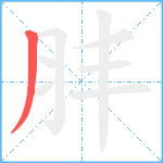 肨笔顺分解图片1