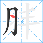 肨笔顺分解图片3