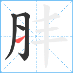 肨笔顺分解图片4