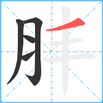 肨笔顺分解图片5