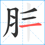 肨笔顺分解图片7