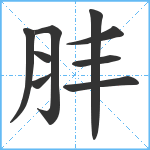 肨笔顺分解图片9