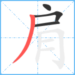 肩笔顺分解图片4