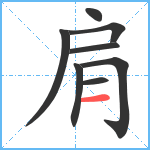 肩笔顺分解图片8