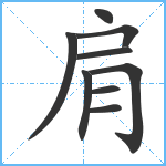 肩笔顺分解图片9