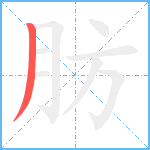 肪笔顺分解图片1