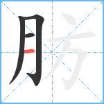 肪笔顺分解图片4