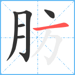 肪笔顺分解图片6