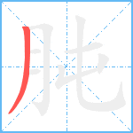 肫笔顺分解图片1