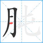 肫笔顺分解图片4