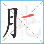 肫笔顺分解图片5