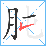 肫笔顺分解图片6