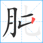 肫笔顺分解图片7