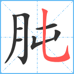 肫笔顺分解图片8