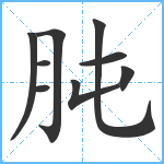 肫笔顺分解图片9