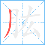 肱笔顺分解图片1