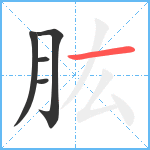 肱笔顺分解图片5