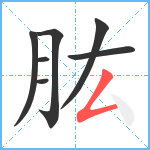 肱笔顺分解图片7