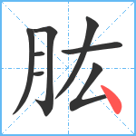 肱笔顺分解图片8